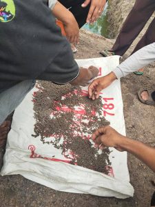 BIMTEK PELATIHAN PERIKANAN "Pelatihan pembuatan pakan ikan"